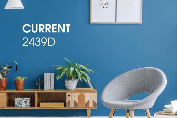 Chính sách cầm đồ T2