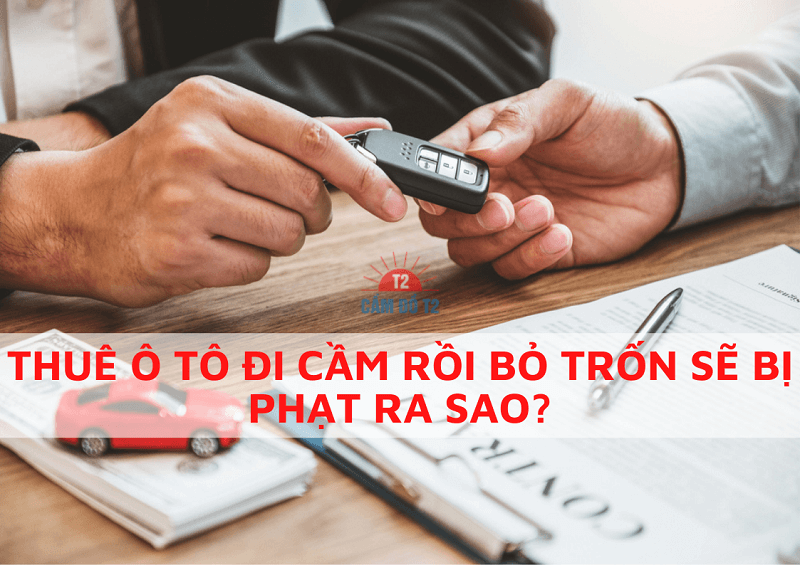 Thuê xe ô tô đi cầm phạm tội gì?